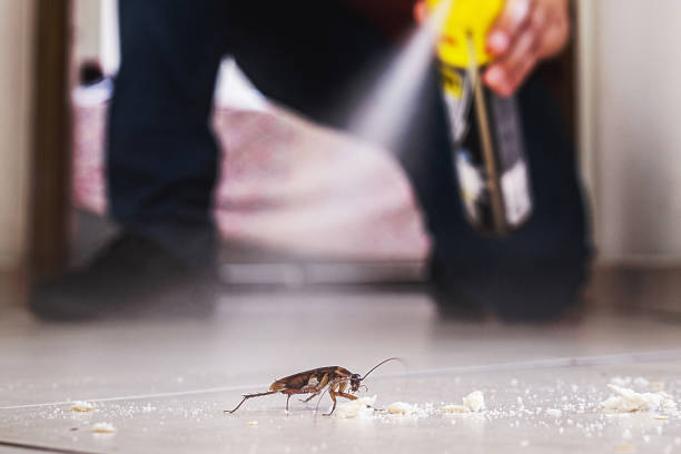 Pest Control Cost in South Hill, WA